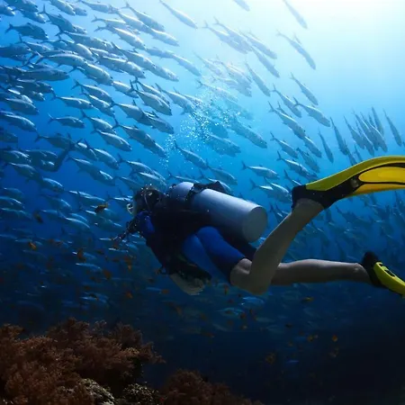 Fiscardostudios Lejlighed